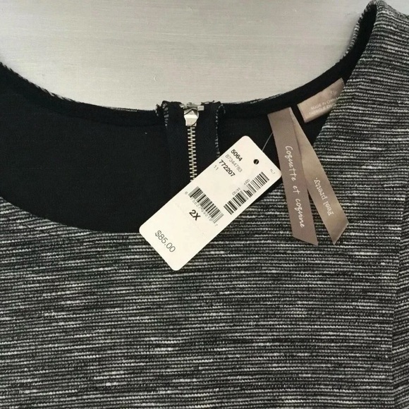 2X PENN Sleeveless Gray Sleeveless Fit and Flare Dress with Zipper Embellishment - Picture 5 of 15